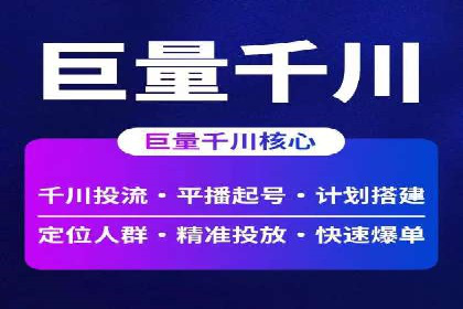 案例研究：如何通过竞价广告实现精准营销